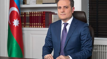 Azerbaijan interested in developing relations with Israel, foreign minister said