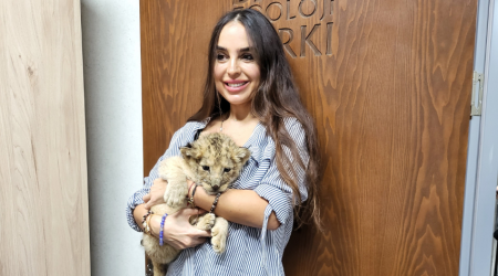 Baku Zoo welcomes baby lion cub