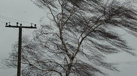 Strong winds expected in Azerbaijan