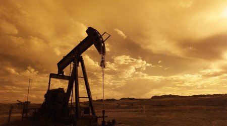Цены на нефть умеренно прибавили на росте спроса