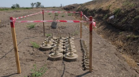 ANAMA clears another 67 hectares of liberated territory from mines