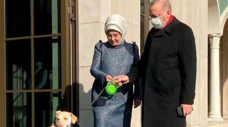 Ərdoğanla xanımının səhhəti ilə bağlı - AÇIQLAMA