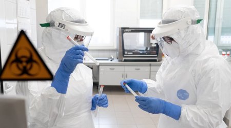 Dünyada koronavirusa yoluxanların sayı 390 milyonu ötüb