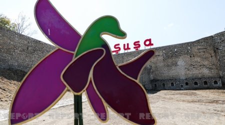 На освобожденных территориях будет разработана стратегия занятости