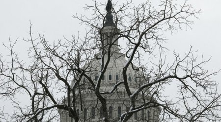 ABŞ, Hindistan, Yaponiya və Avstraliya liderləri arasında virtual görüş keçiriləcək
