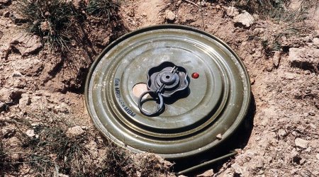 Türkiyənin Bolqarıstanla sərhədində mina tapılıb
