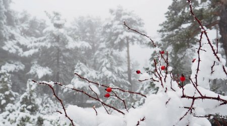 Rain, hail forecasted in some districts tomorrow