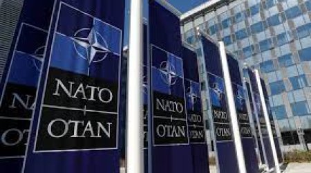 Finlandiya NATO-ya girir