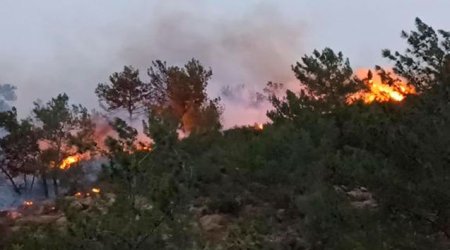 Türkiyənin qərbində meşə yanğını başlayıb