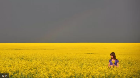 Rusiya-Ukrayna müharibəsi dünyanı aclıqla üz-üzə qoyacaqmı? -TƏHLİL