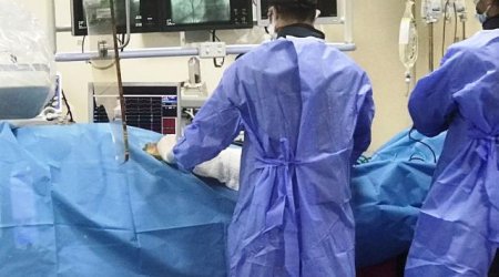 Xəstəyə inəyin ürək klapanları köçürüldü - Elmdə ilk