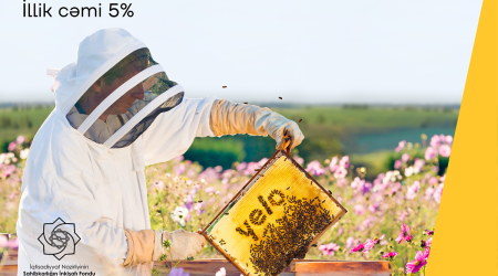 Развивайте свой бизнес с кредитом от Yelo Bank под 5% годовых