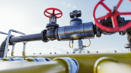 Bulgaria to start receiving full volume of Azerbaijani gas from July, PM Petkov says