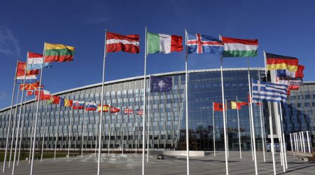 Finlandiya NATO ilə bağlı qərarını rəsmən elan etdi