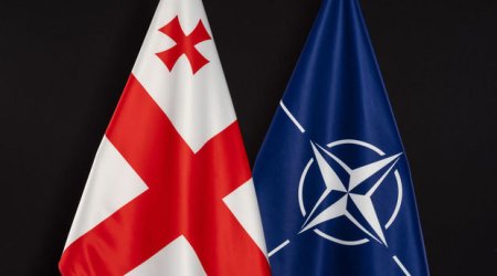 Gürcüstan NATO sammitinə dəvət olunacaq