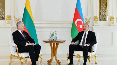 Azərbaycan və Litva prezidentlərinin müzakirə etdiyi məsələlər açıqlanıb