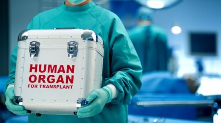 Azərbaycanda donor bankı yaradılıb