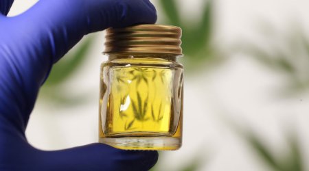 Vladimir vilayətində texniki çətənə yetişdirilməsinə 800 milyon rubl sərmayə qoyulacaq