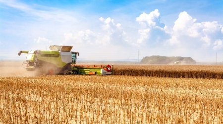 Dünyada 18 həftəlik taxıl ehtiyatı qalıb