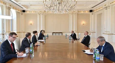 İlham Əliyev Laura Loxmanı qəbul edib