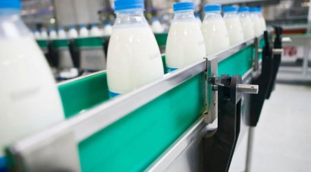 Азербайджан импортировал из Турции молочной продукции на 8,2 млн долларов