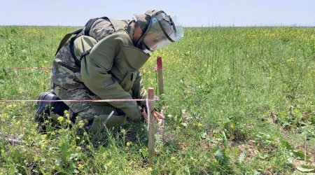 Defense Ministry announces number of mines found in liberated areas