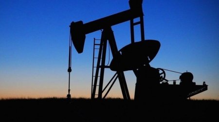 Франция обсуждает возможность поставок нефти из ОАЭ взамен российской