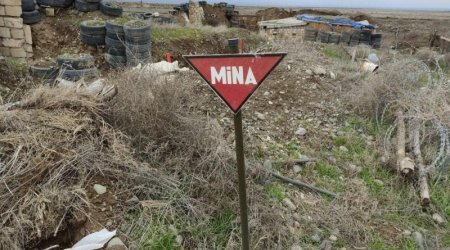 Another 79 mines found in liberated territories of Azerbaijan