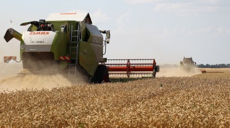 FAO - Ukrayna taxılının ixracı ilə bağlı danışıqlar yekunlaşmaq üzrədir