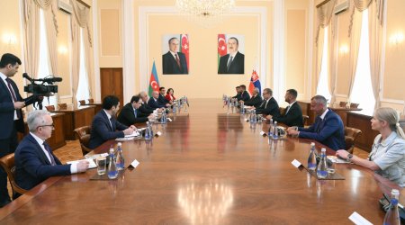 Əli Əsədov Slovakiya parlamentinin sədri ilə görüşdü