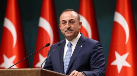 Cavusoglu posts about first anniversary of Shusha Declaration