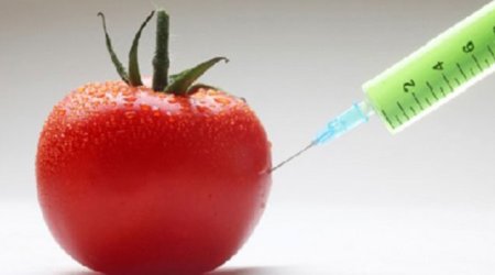 Azərbaycanda GMO məhsullarının siyahısı hazırlanacaq