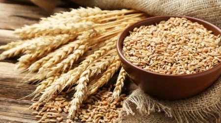 Gürcüstan buğda ixracına qadağa qoyur