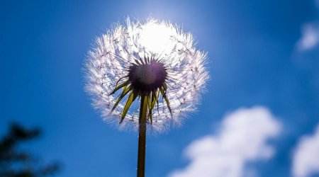 Azerbaijan weather forecast for June 30