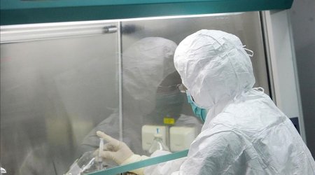 Daha bir ölkədə meymunçiçəyi aşkarlandı