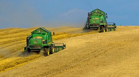 Yem sənayesinə vergi güzəştlərinin ölkəyə təsirini açıqlayıb