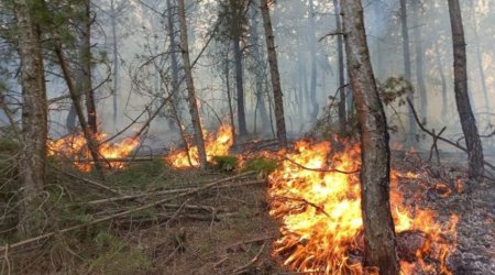 Muğlada meşə yanğını başlayıb, helikopterlər cəlb olunub