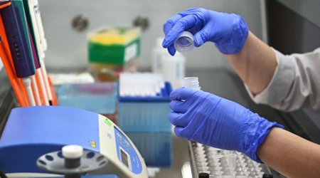 ÜST Avropada yeni koronavirus dalğası elan etdi