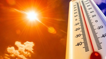 Portuqaliyada anomal istilər 1 065 nəfərin ölümünə səbəb olub