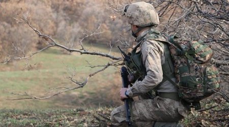 Türkiyə ordusu 289 terrorçu zərərsizləşdirib