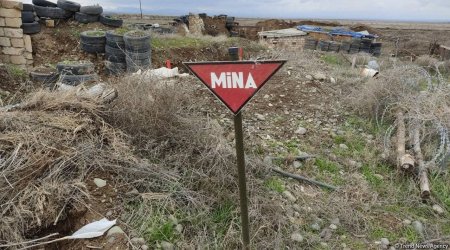 Another 195 mines found in liberated territories of Azerbaijan