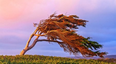 Strong wind expected in Baku