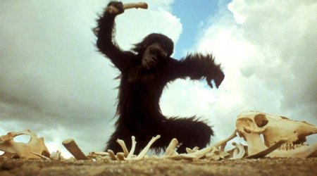 Meymunların hücumu - 58 nəfər xəstəxanalıq oldu