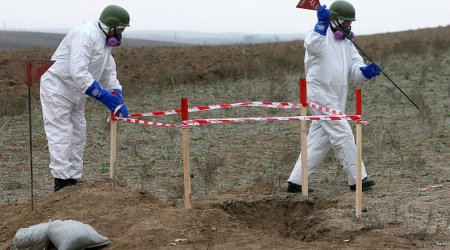 ANAMA finds over 1,000 unexploded ordnance in liberated territories in July