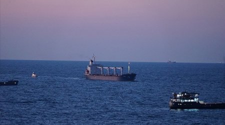 Taxıl daşıyan ilk gəmi İstanbula çatdı - Foto+Yenilənib