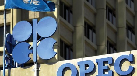 Oil prices decline slightly