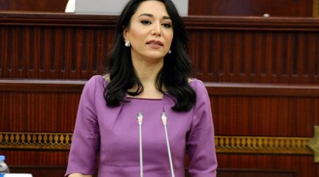 Erməni terroru ilə bağlı Ombudsmandan beynəlxalq təşkilatlara - Müraciət