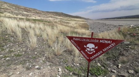 Another 236 mines found in liberated territories of Azerbaijan