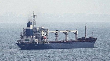 Ukraynadan daha bir gəmi Türkiyəyə yollandı