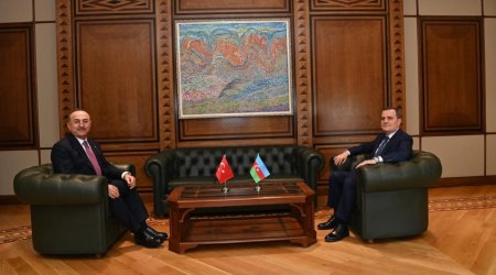 Azerbaijani, Turkish FMs hold phone conversation